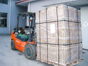 entrega01_0004_ 图层 0