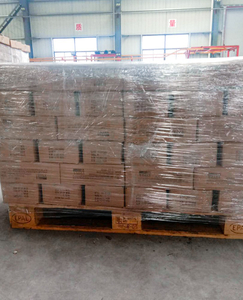 entrega02_0000_img_8237